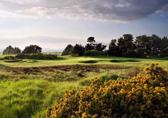 Image The Irvine Golf Club